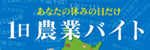 1日 農業バイト デイワーク