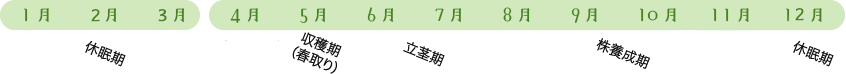 作物の生育過程