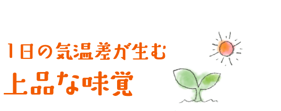 1日の気温差が生む上品な味覚