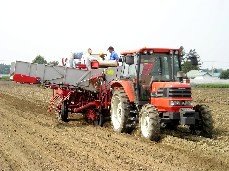 9月 収穫は大きな農業機械（ポテトハーベスター）で収穫します。