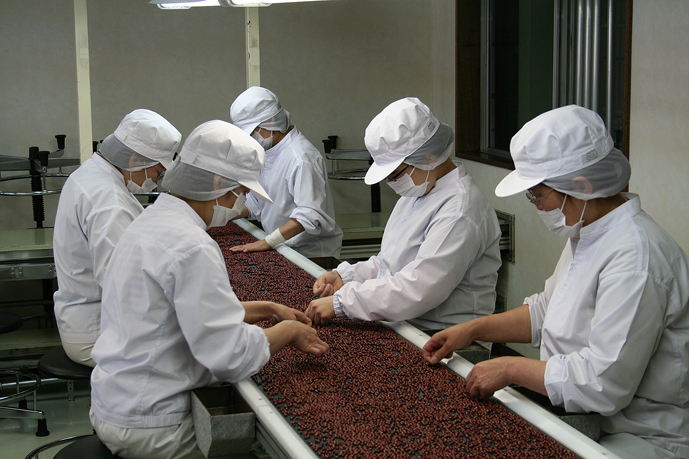 小袋豆製造ライン