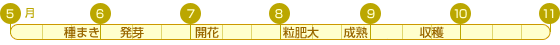 大福豆カレンダ