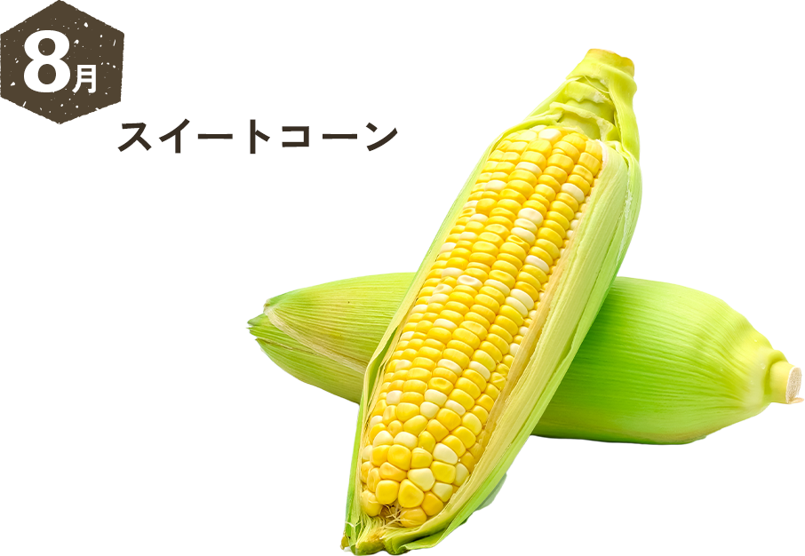 8月 スイートコーン