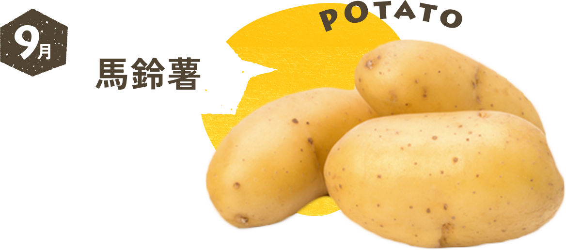 9月 馬鈴薯