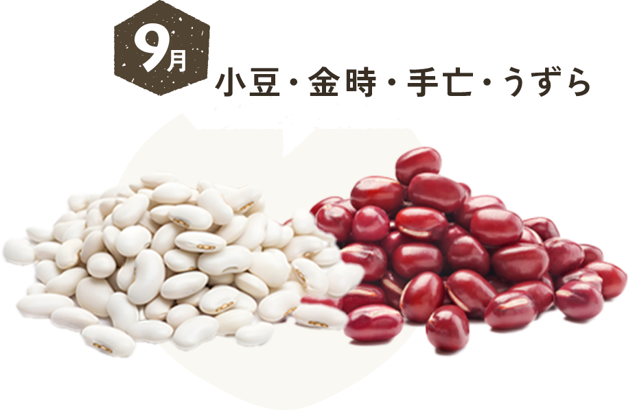 9月 小豆・金時・手亡・うずら
