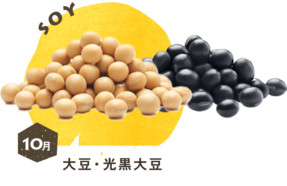 10月 大豆・光黒大豆
