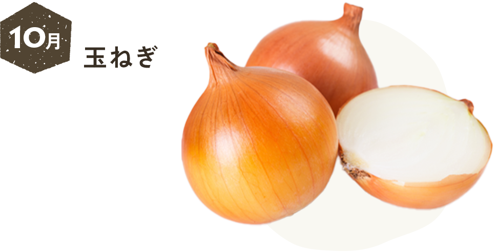 10月 玉ねぎ