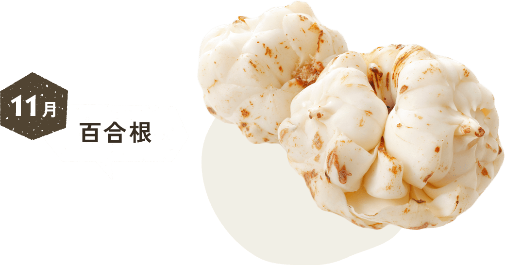 11月 百合根