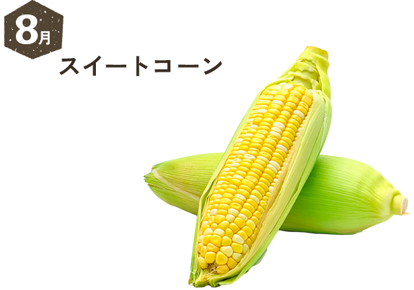 8月 スイートコーン