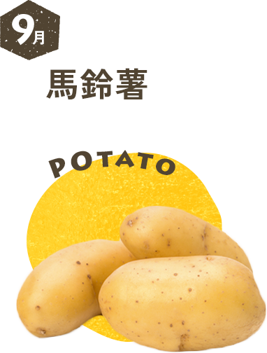 9月 馬鈴薯