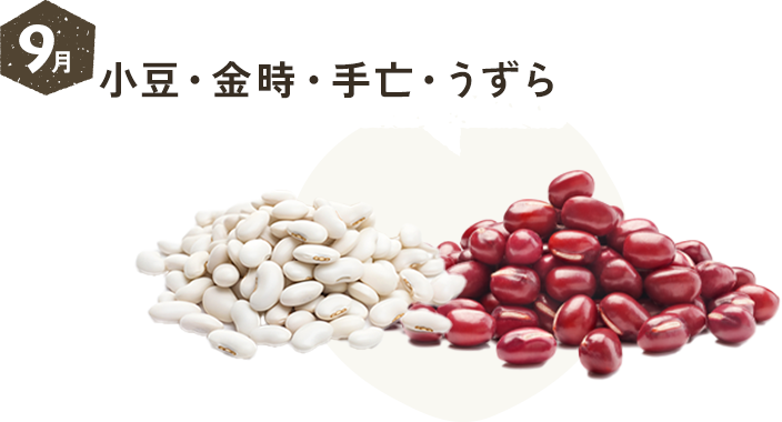 9月 小豆・金時・手亡・うずら