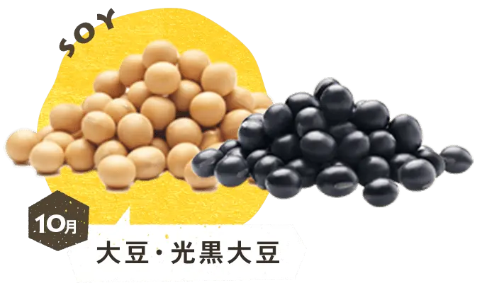 10月 大豆・光黒大豆