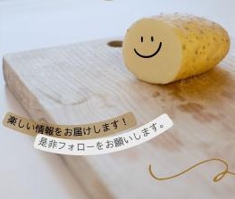公式インスタグラム開設しました！
